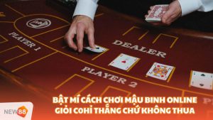 Cách Chơi Mậu Binh Online